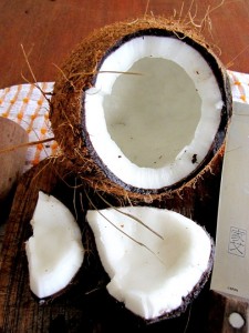 bolo-de-aipim-coco 