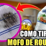 remover manchas de roupas mofadas