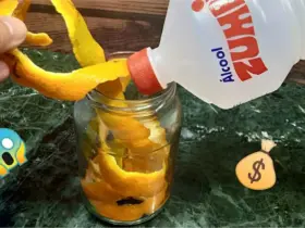multiuso caseiro de laranja