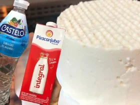 queijo caseiro feito com ingredientes que já tem no seu armário