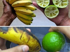 bater banana com limÃo