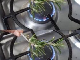 alecrim queimado