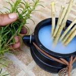 aromatizador de ambiente caseiro – canal loucos das plantas