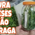 como conservar cheiro verde – canal – se vira nos 50 – receitas e dicas