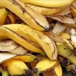 pare de jogar fora as cascas da banana.jpg