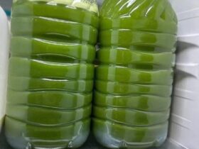 suco de abacaxi com couve, gengibre e limão