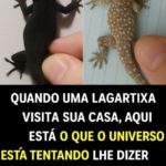 O Significado Espiritual de uma Lagartixa na Sua Casa!