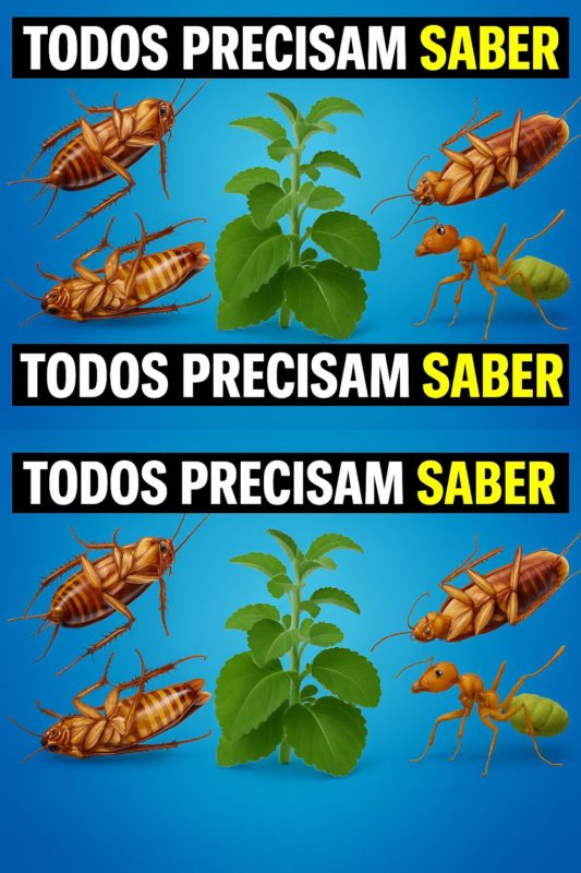 repelente caseiro natural contra baratas