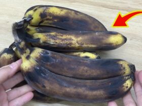 bananas podres