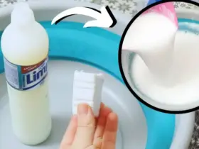 detergente caseiro de coco