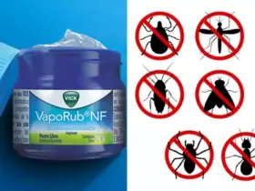 repel pests naturally using mentholated ointment