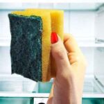 colocar uma esponja na geladeira
