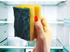 colocar uma esponja na geladeira